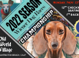 11/13 Wiener Dog Championship Races @ Old World Village