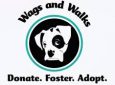 Wags & Walks Foster Orientation