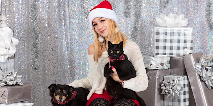 Holiday Pet Photos