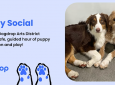 Dogdrop Puppy Social