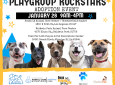 Playgroup Rock Stars Adoption Event