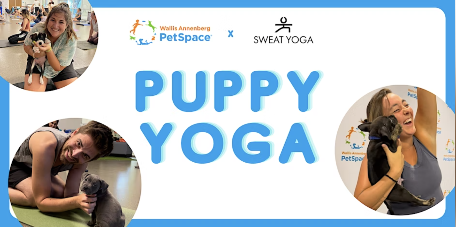 Puppy Yoga