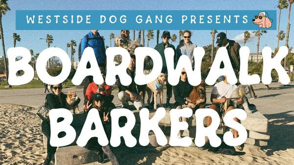 Boardwalk Barkers: A Social Dog Walk down SM Boardwalk