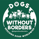 Dogs Without Borders