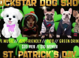 Rockstar Dog Show – CXLD