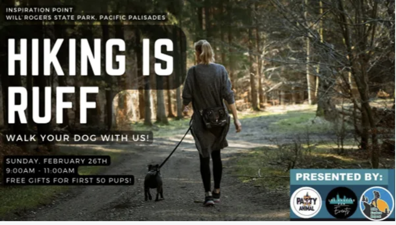 Hiking with Dogs!