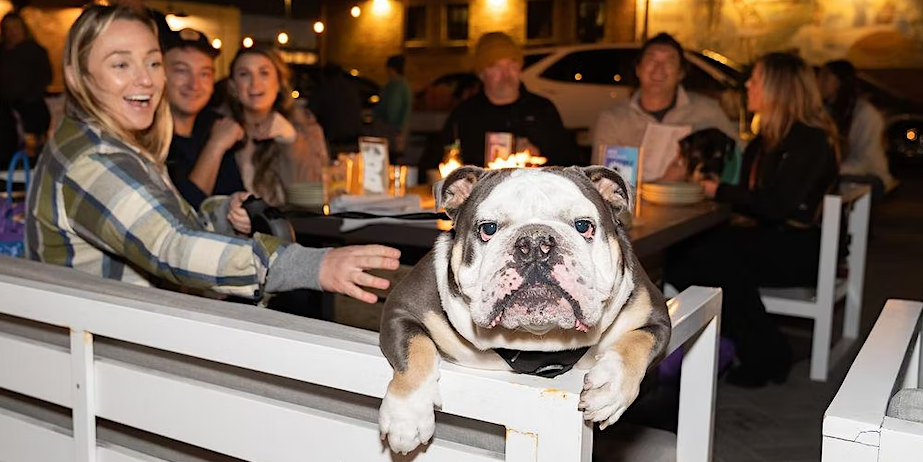 Offleash’d Yappy Hour Time @ Baja Hermosa Beach! Bring Your Furry Friend!