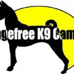 Cage Free K9 Camp