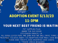 2nd Chance Dog Rescue Av Adoption Event