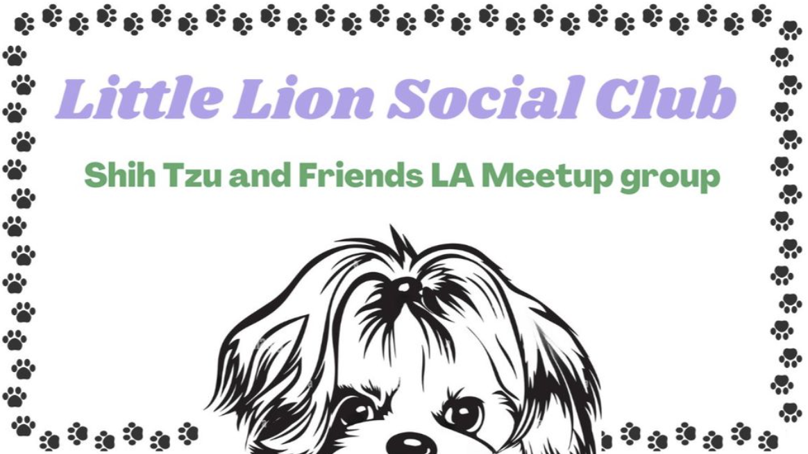 LA Shih Tzu and Friends Social Club Meetup