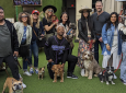 Yappy Hour Time @ Baja Hermosa Beach! Pet People Connect!