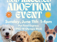 KK9R Adoption Event