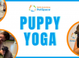 Puppy Yoga at Annenberg PetSpace