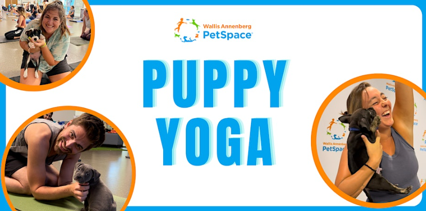 Puppy Yoga at Annenberg PetSpace