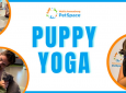 Puppy Yoga at Annenberg PetSpace