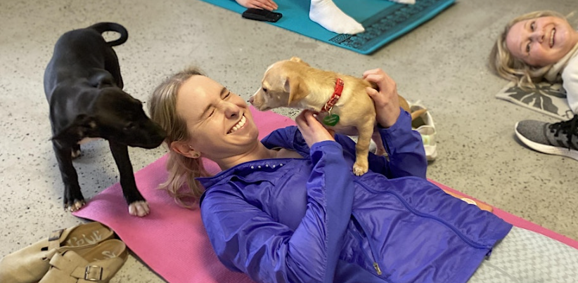 Puppy Yoga at Pups Without Borders!