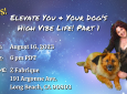 Elevate You & Your Dog’s High Vibe Life! Part 1