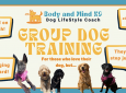 Group Dog Coaching Class