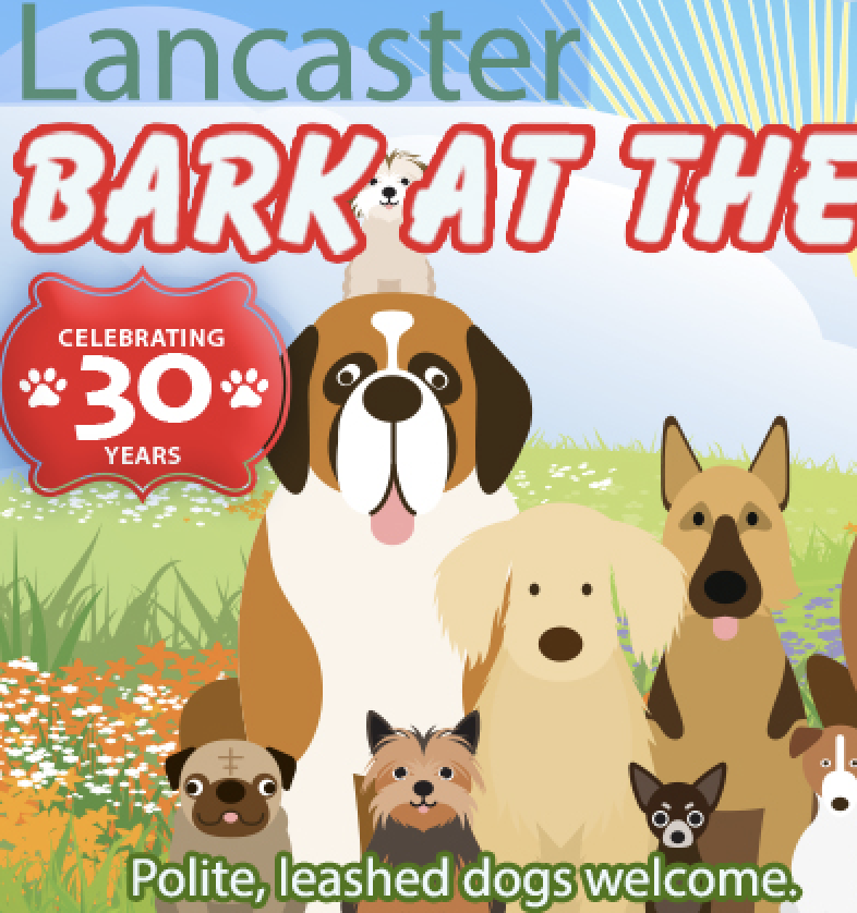 Bark at the Park