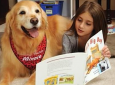 Paws to Read – Therapy Dog Reading