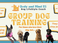 Group Dog Coaching Class