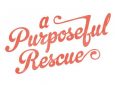 A Purposeful Rescue – ADOPTION EVENT