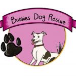 Bubbles Dog Rescue