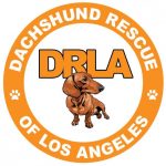 Dachshund Rescue of Los Angeles