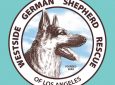 WGSR German Shepherd Adoptions – Wednesdays