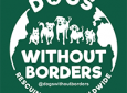 Dogs without Borders – Adoption Event