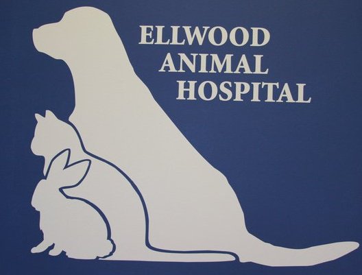 Elwood Animal Clinic