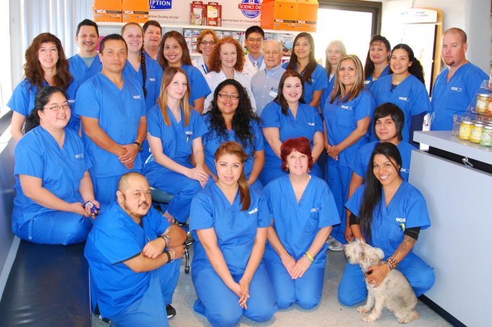 VCA Rossmoor-El Dorado Animal Hospital