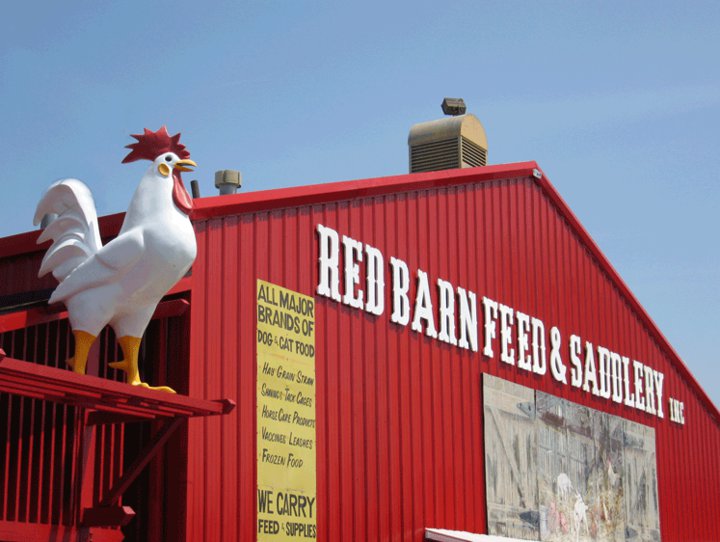 Red Barn Feed & Saddlery