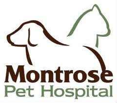 Montrose Pet Hospital