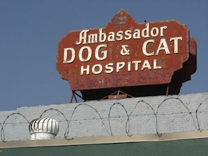 Ambassador Dog & Cat Hospital
