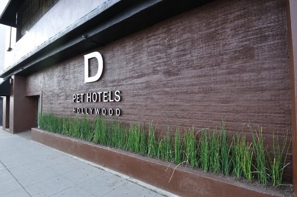 D Pet Hotels Los Angeles – Hollywood