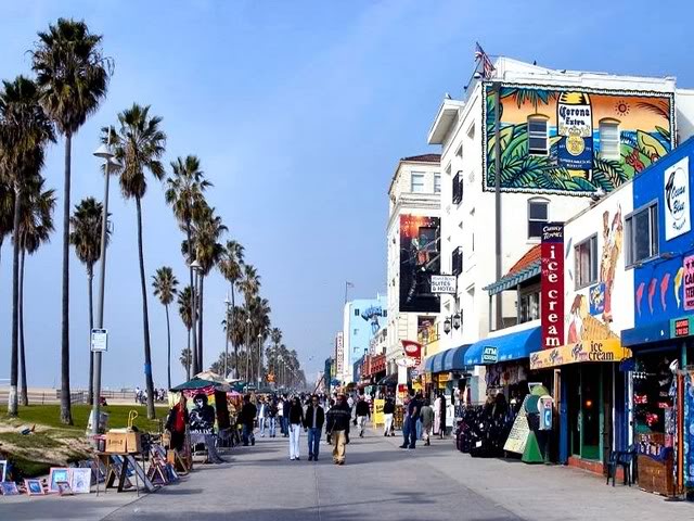 are dogs allowed on the beach or venice boardwalk