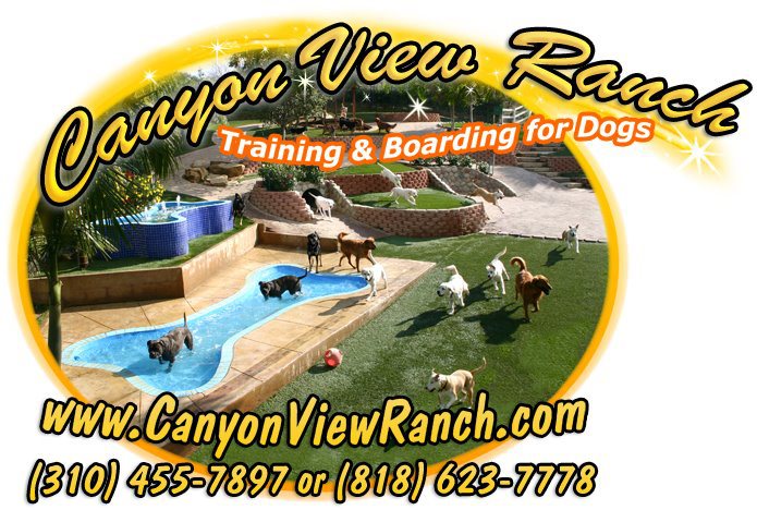 Canyon View Ranch Topanga is Dog Friendly