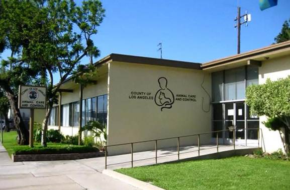Downey Animal Care Center - Downey is Dog Friendly