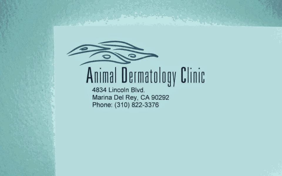 Animal Dermatology Clinic at City of Angels - CLOSED - Culver City is Dog  Friendly