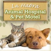 La Habra Vet Clinic and Pet Motel