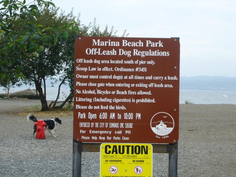 are dog allowed at edmonds parks