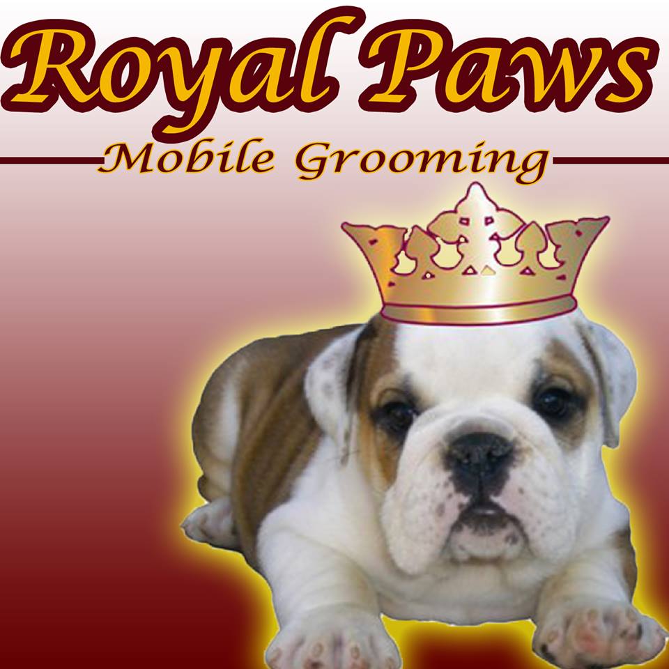 Royal Paws Mobile Dog Grooming