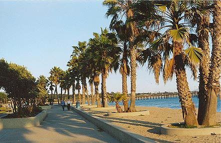 Promenade Park & Ventura Pier