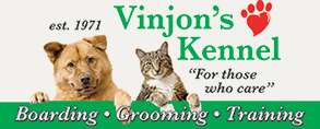 Vinjon’s Kennel – Chino