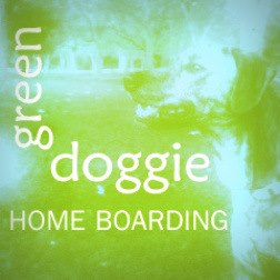 Green Doggie Home Boarding