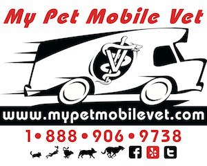 My Pet Mobile Vet