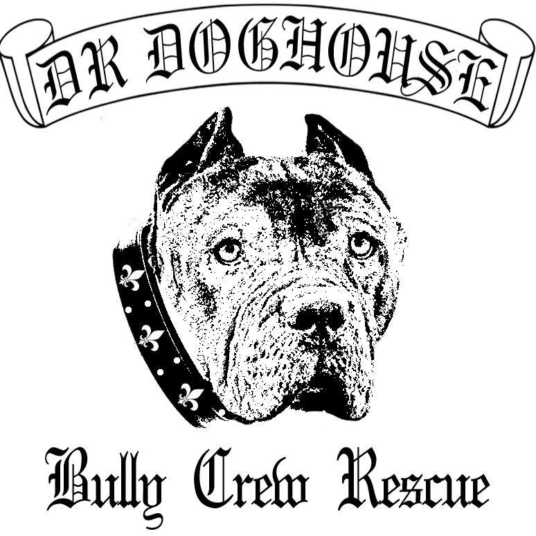 Dr. Doghouse Bully Crew Rescue