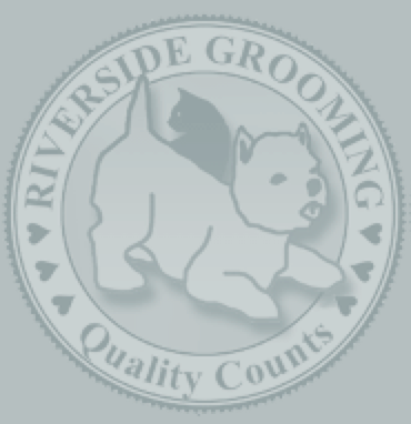 Riverside Pet Grooming: Arlington Ave.
