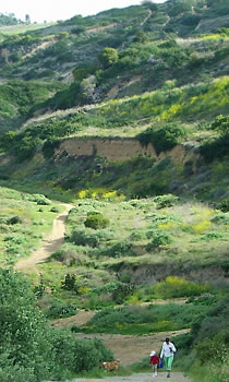 Portuguese Bend Reserve